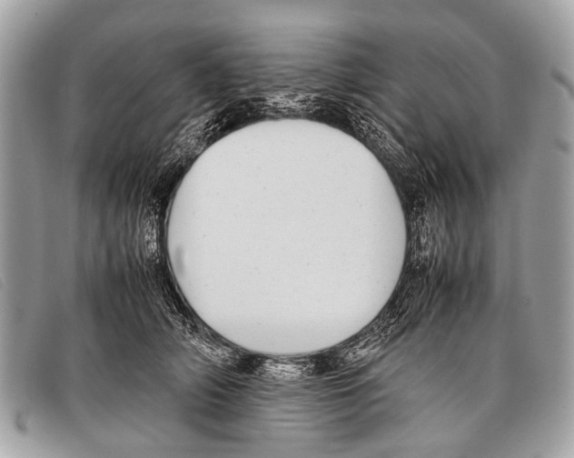 X0000097860706200804111153