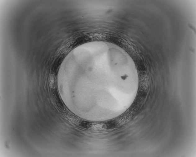 X0000097860709200804111153