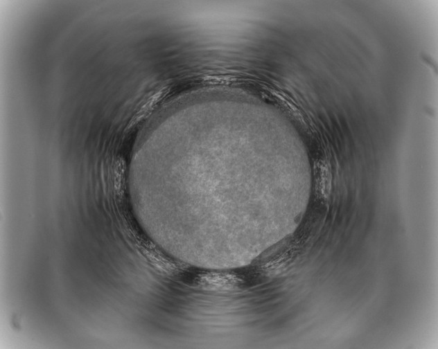 X0000097860712200804111153