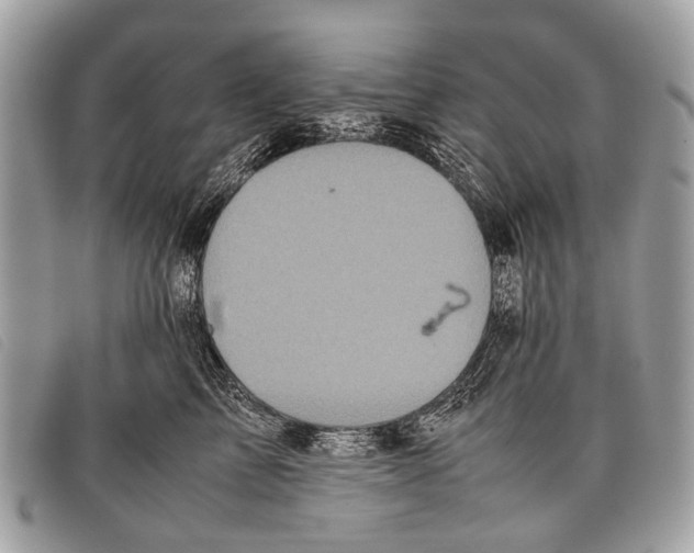 X0000097860713200804111153