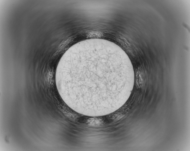 X0000097860714200804111153