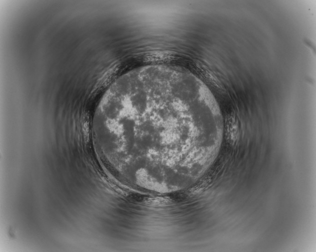 X0000097860716200804111153