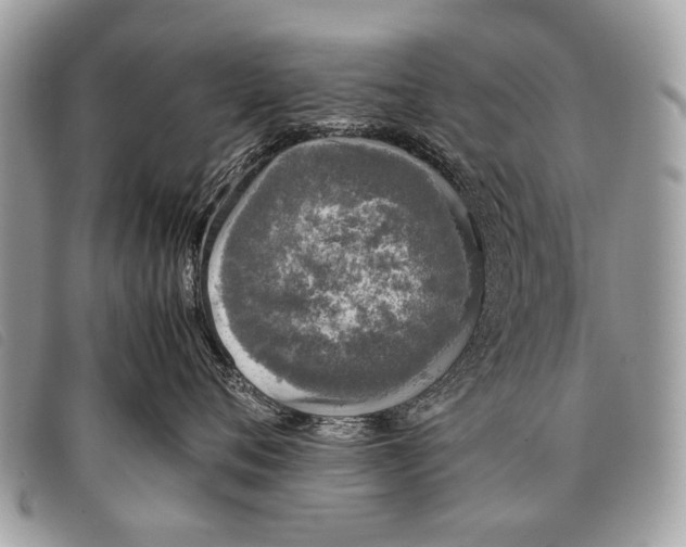 X0000097860720200804111153