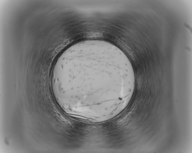 X0000097860721200804111153