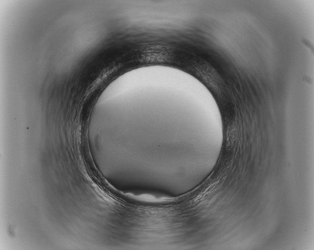 X0000097860722200804111153