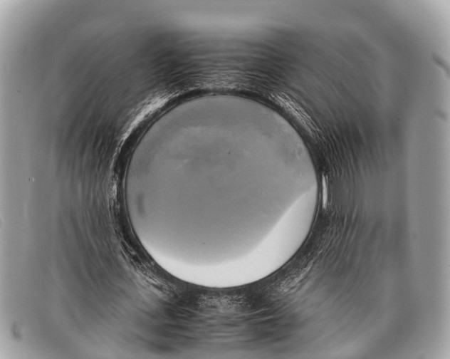 X0000097860723200804111153