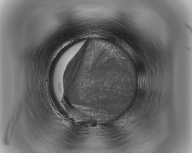 X0000097860724200804111153