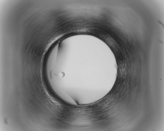 X0000097860728200804111153