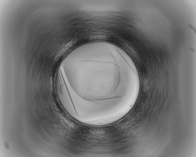 X0000097860729200804111153