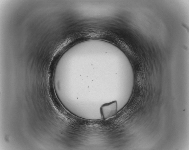 X0000097860730200804111153