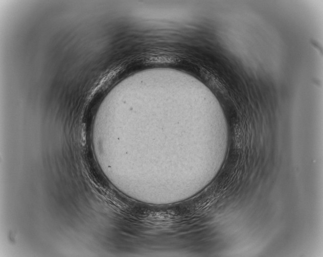 X0000097860731200804111153