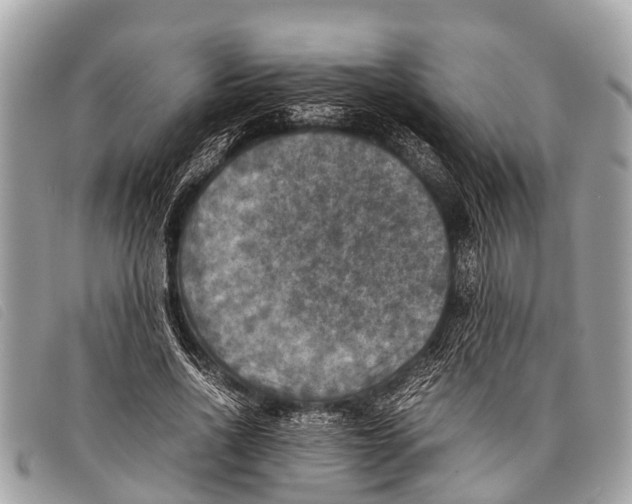 X0000097860734200804111153