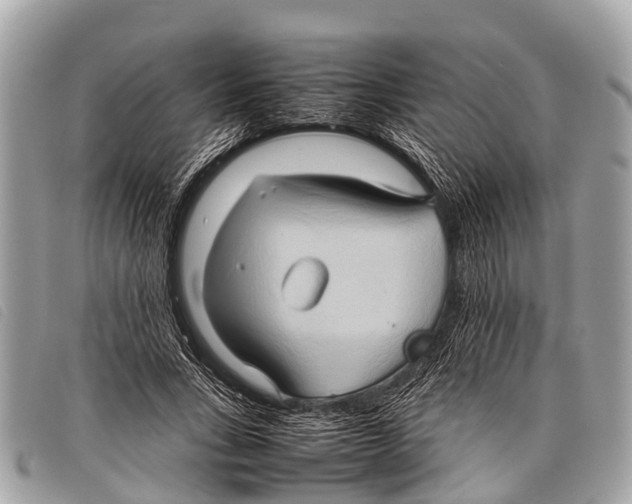 X0000097860735200804111153