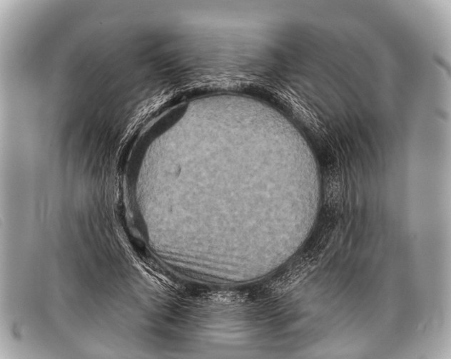 X0000097860736200804111153