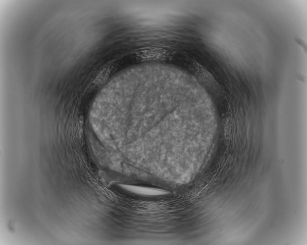 X0000097860737200804111153