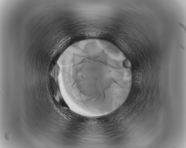 X0000097860738200804111153