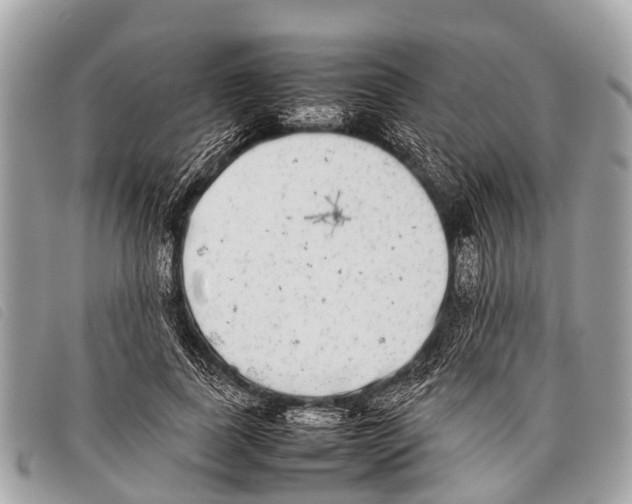 X0000097860739200804111153