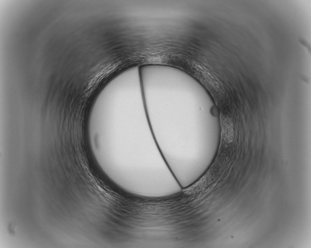 X0000097860740200804111153