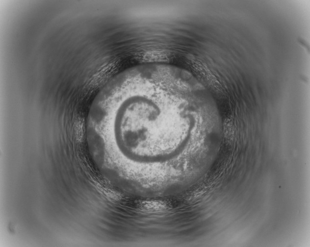 X0000097860741200804111153