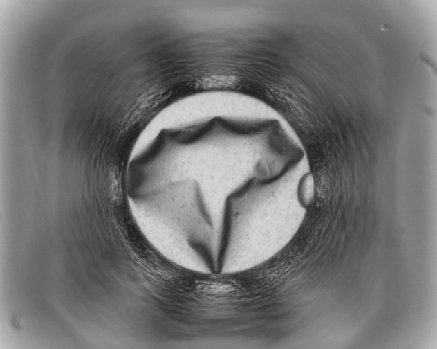 X0000097860743200804111153