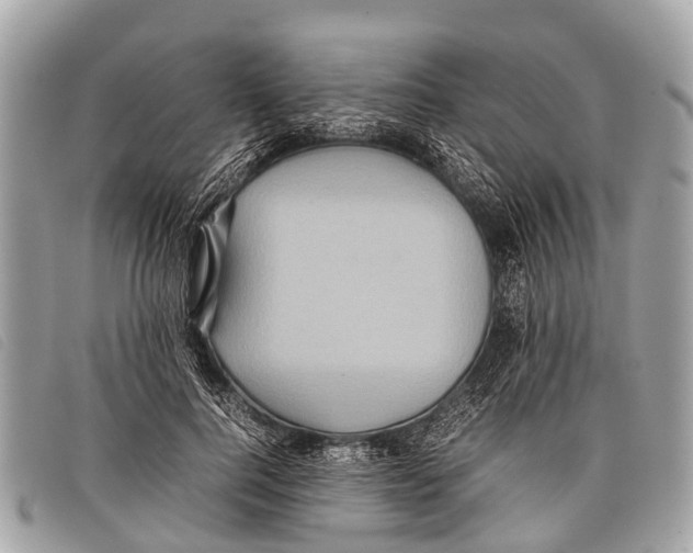 X0000097860744200804111153