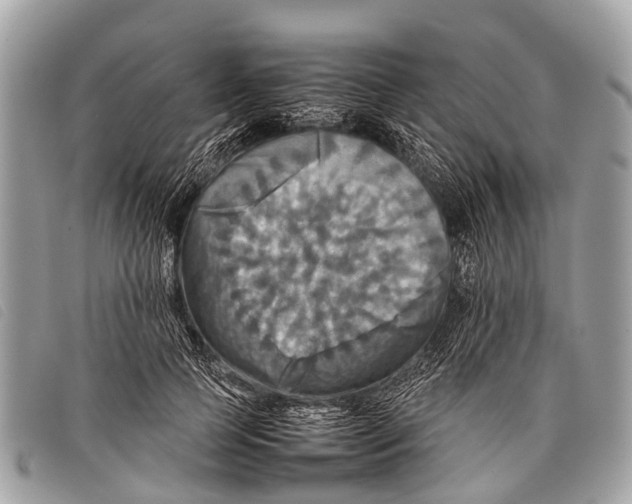 X0000097860745200804111153