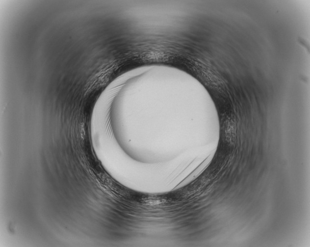 X0000097860746200804111153