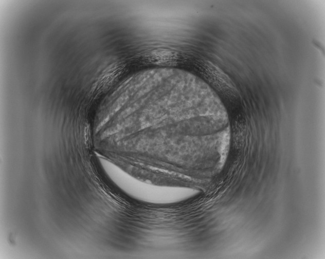 X0000097860748200804111153