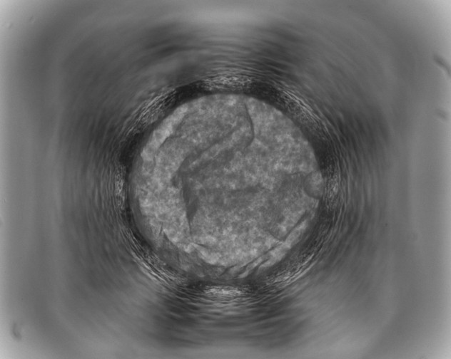 X0000097860749200804111153