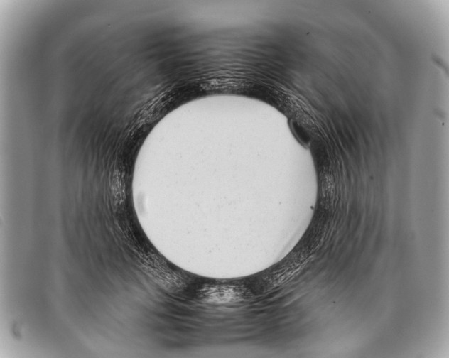 X0000097860751200804111153