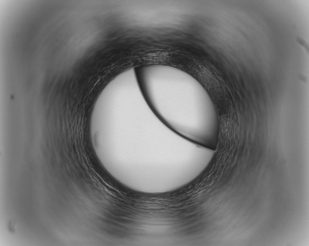 X0000097860752200804111153