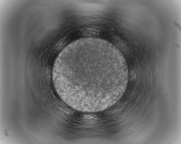 X0000097860753200804111153