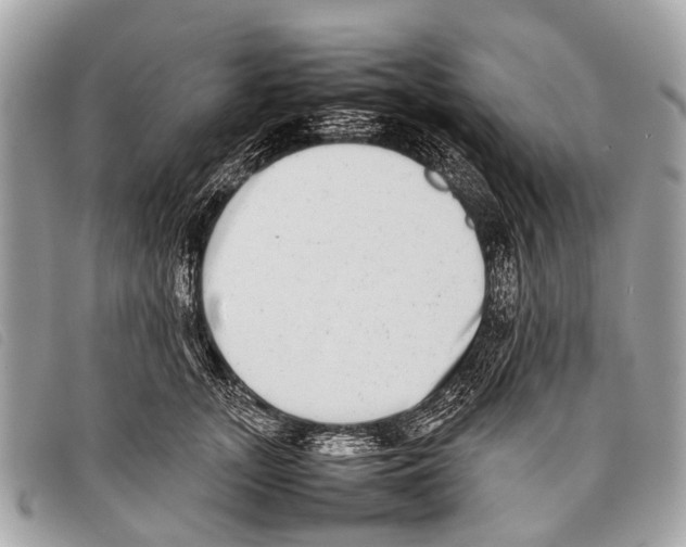 X0000097860755200804111153