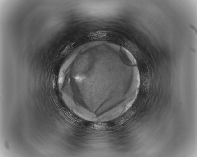 X0000097860758200804111153