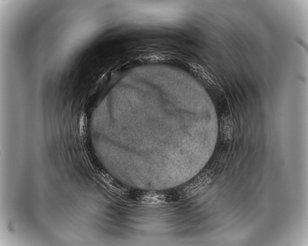 X0000097860760200804111153