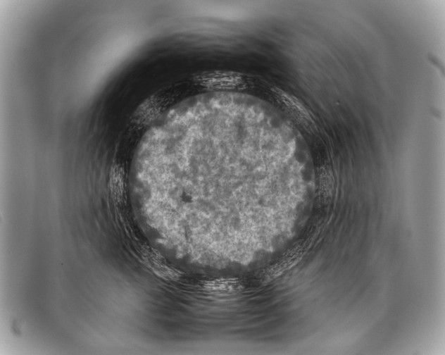 X0000097860761200804111153