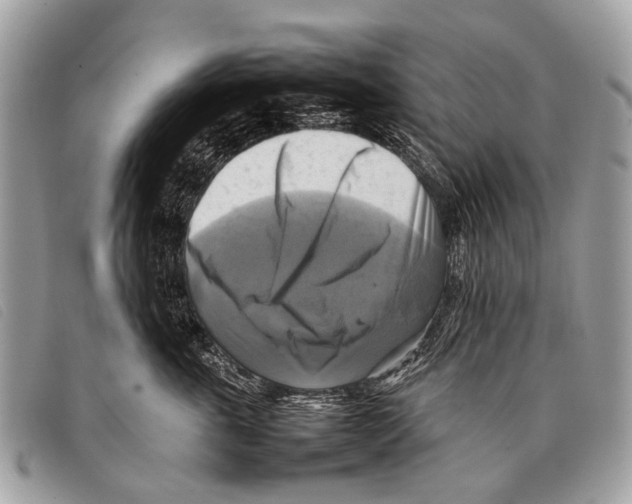 X0000097860763200804111153