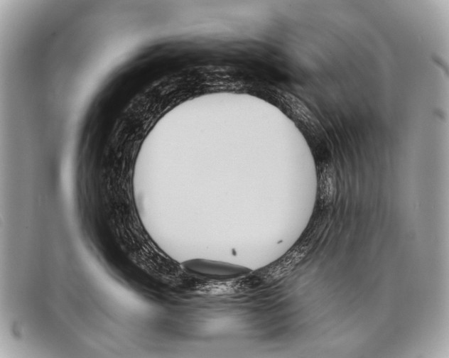 X0000097860764200804111153