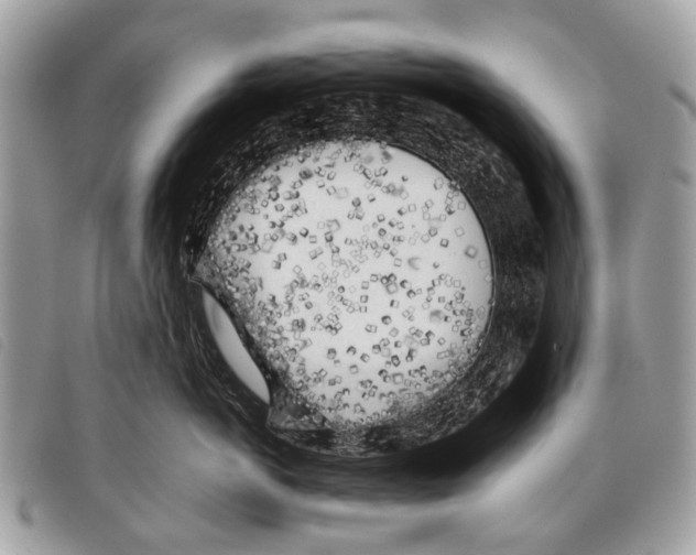 X0000097860766200804111153