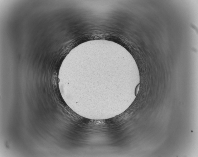 X0000097860768200804111153