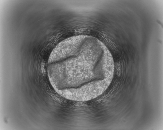 X0000097860770200804111152