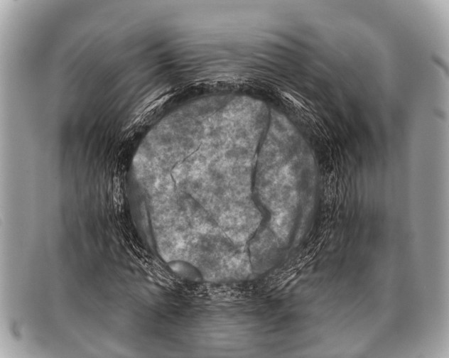 X0000097860774200804111152