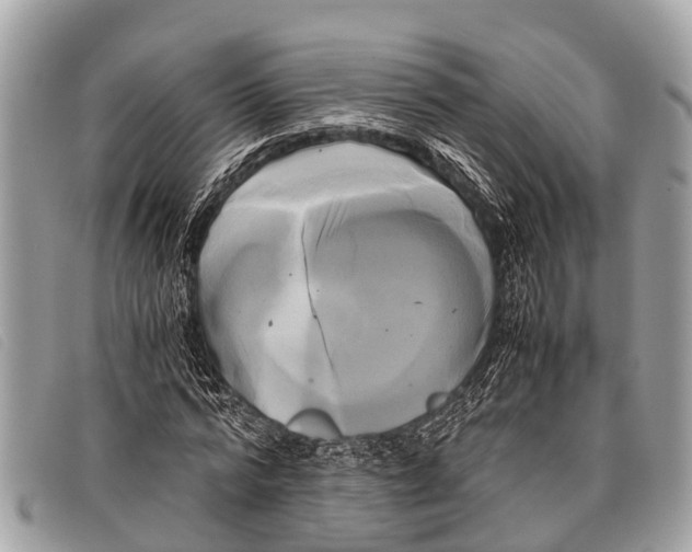 X0000097860776200804111152