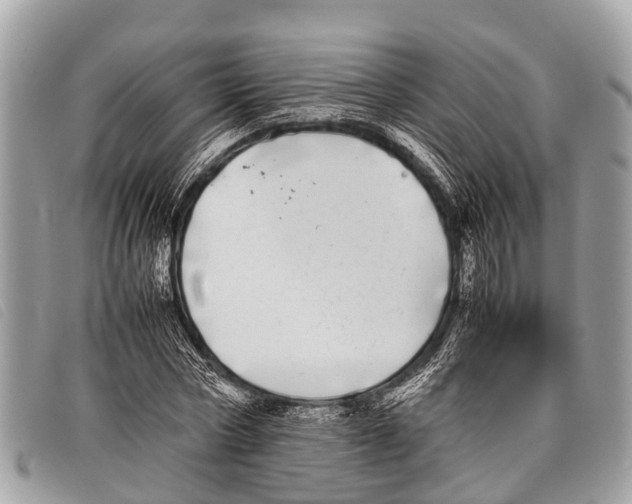 X0000097860778200804111152