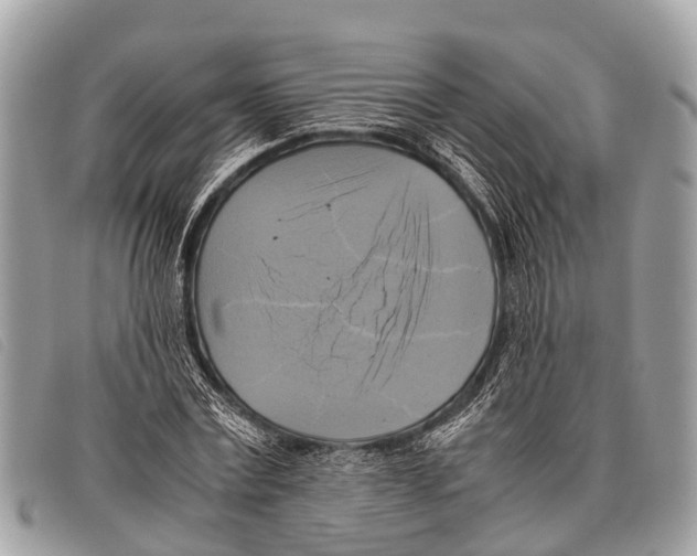 X0000097860779200804111152