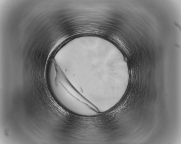 X0000097860780200804111152