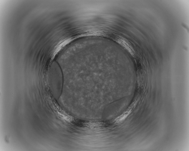 X0000097860781200804111152