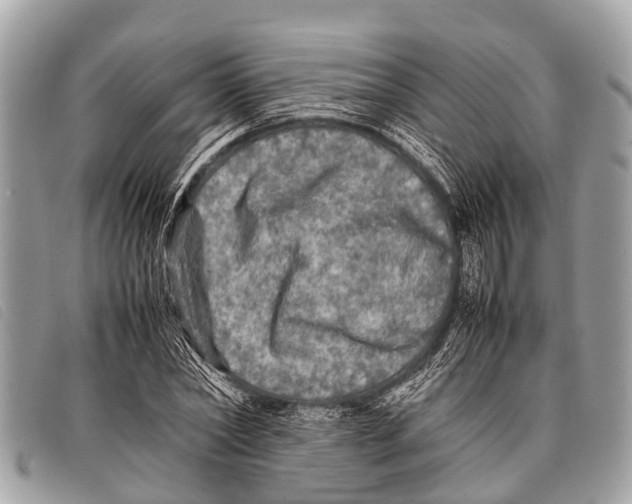 X0000097860782200804111152