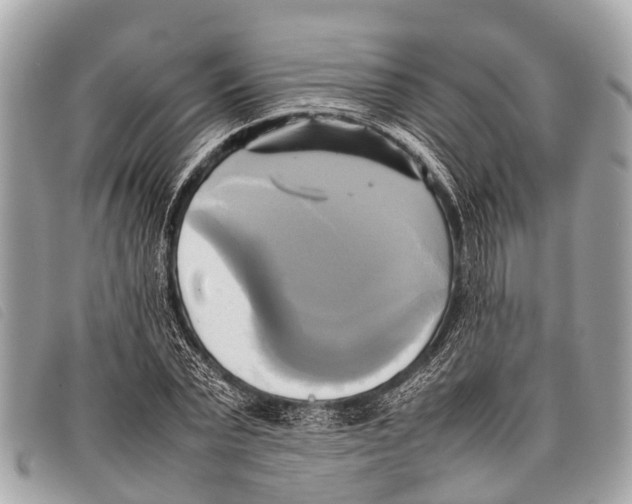 X0000097860783200804111152