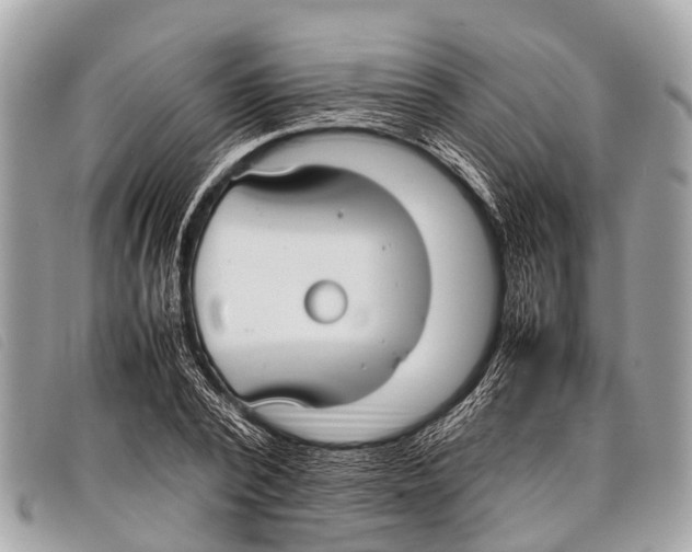 X0000097860784200804111152